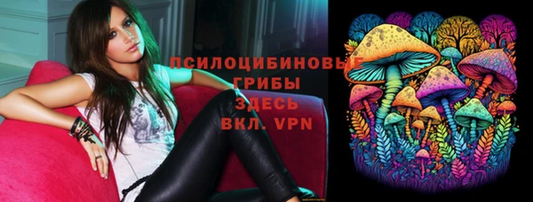 бутират Богданович