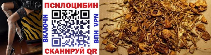 Галлюциногенные грибы Cubensis  Кореновск 